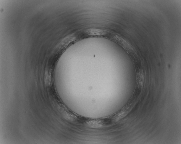 X0000082690422200702091702