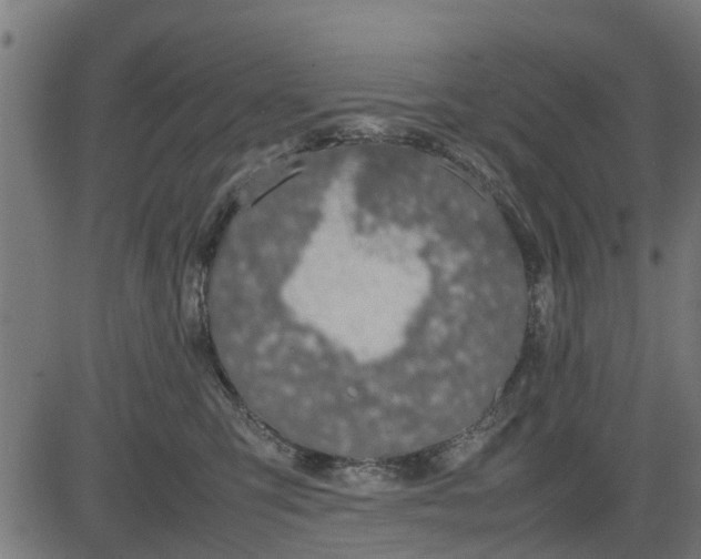 X0000082690423200702091702