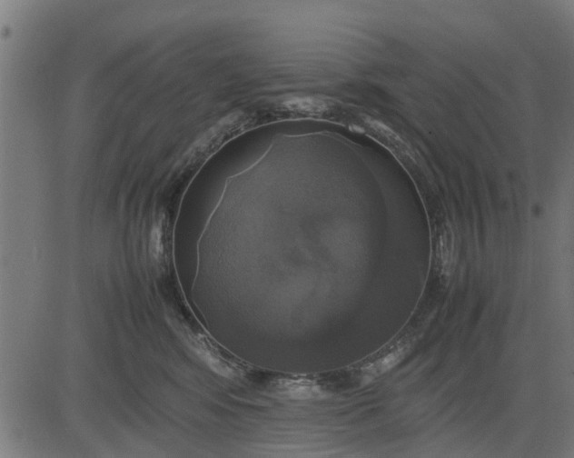 X0000082690424200702091702