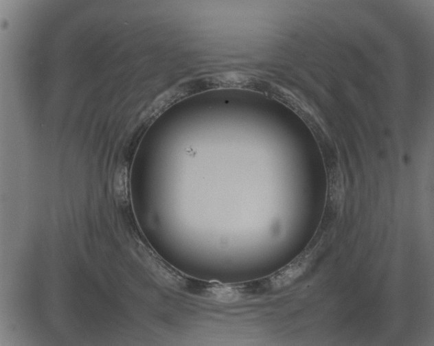 X0000082690425200702091702