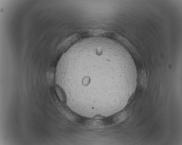 X0000082690427200702091702