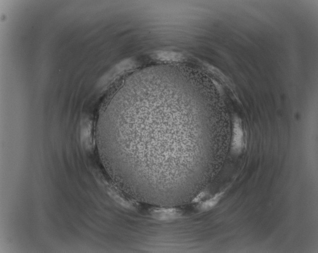 X0000082690428200702091702