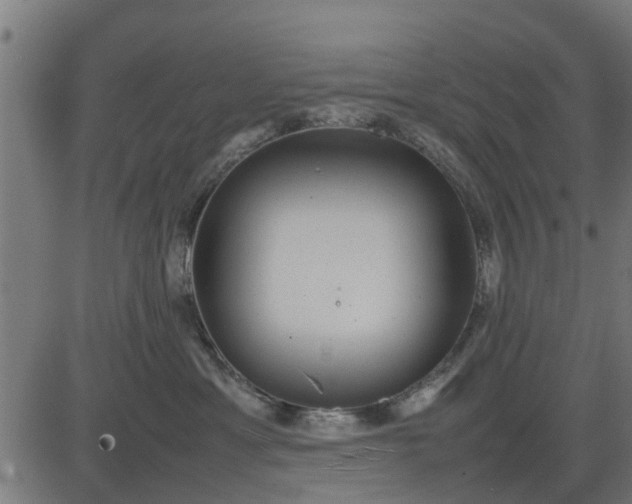 X0000082690429200702091702