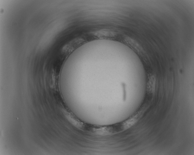 X0000082690430200702091702