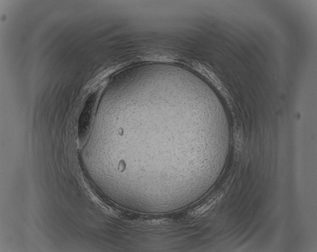 X0000082690433200702091701