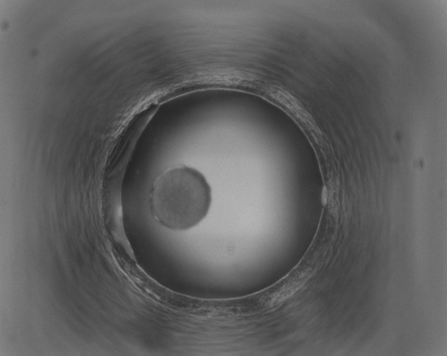 X0000082690434200702091701