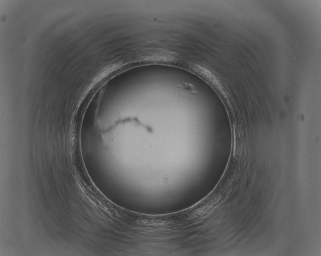 X0000082690435200702091701