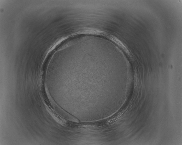 X0000082690436200702091701