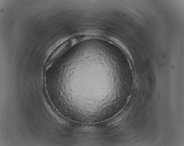 X0000082690437200702091701