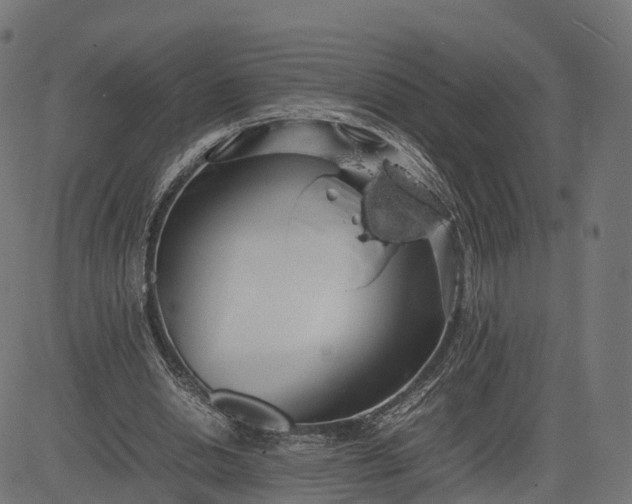 X0000082690438200702091701