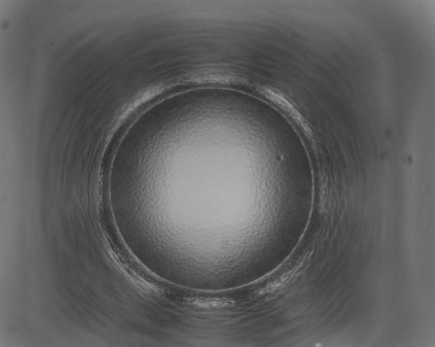 X0000082690439200702091701