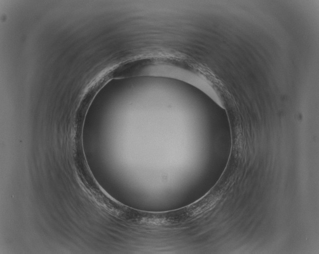 X0000082690440200702091701