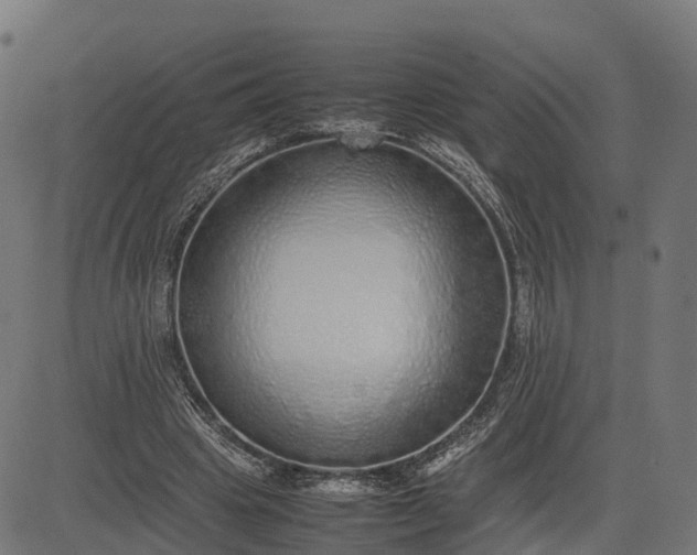 X0000082690441200702091701