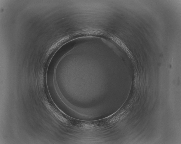 X0000082690442200702091701