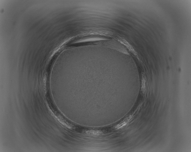 X0000082690444200702091701