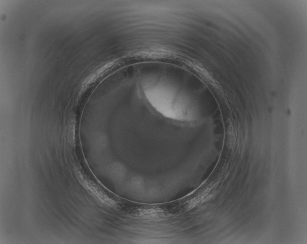 X0000082690446200702091701