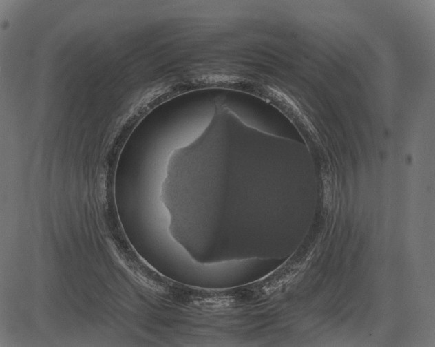 X0000082690447200702091701