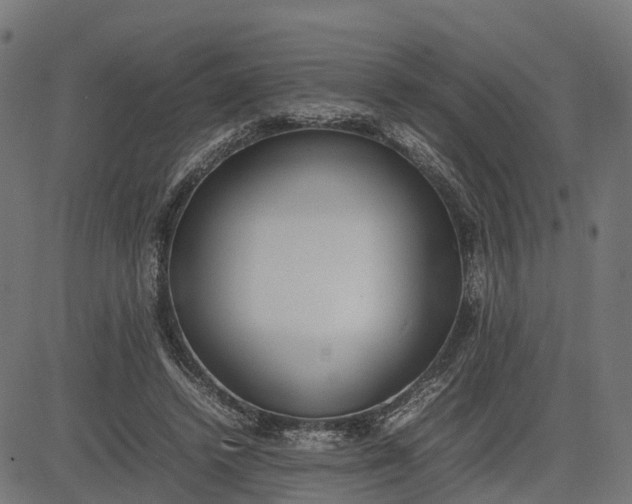 X0000082690448200702091701