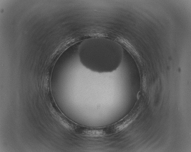 X0000082690449200702091701