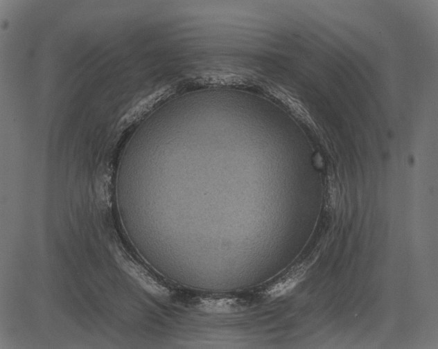 X0000082690450200702091701