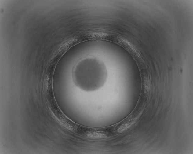 X0000082690451200702091701