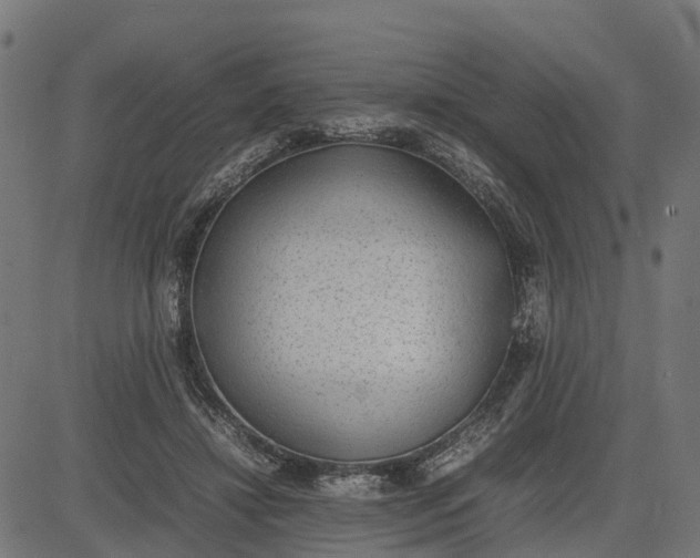 X0000082690452200702091701