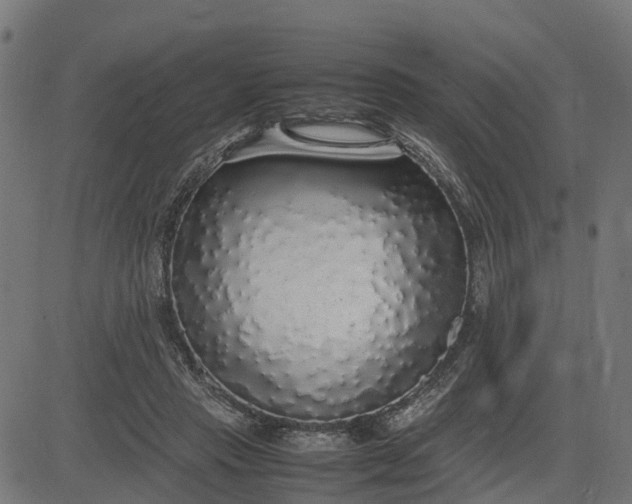 X0000082690453200702091701