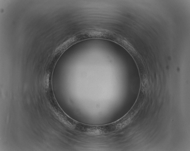 X0000082690454200702091701