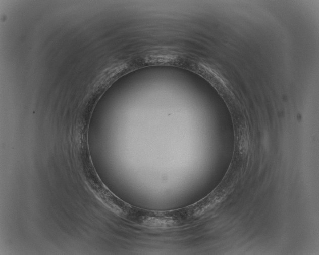 X0000082690455200702091701