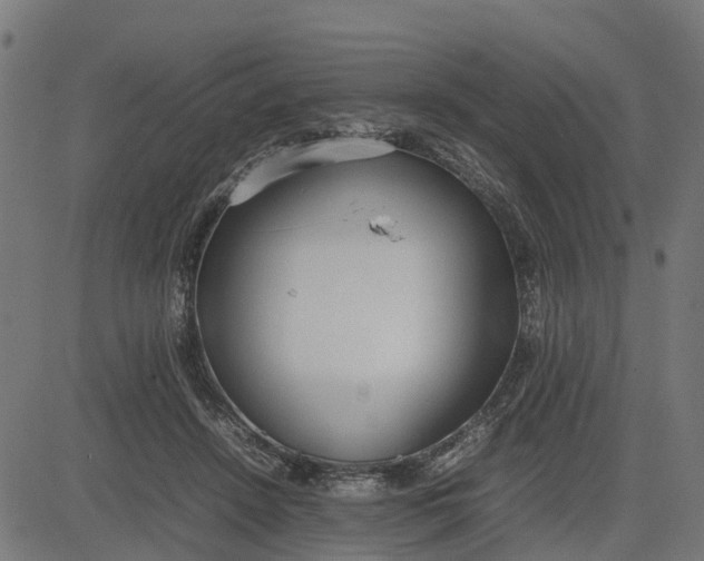 X0000082690456200702091701