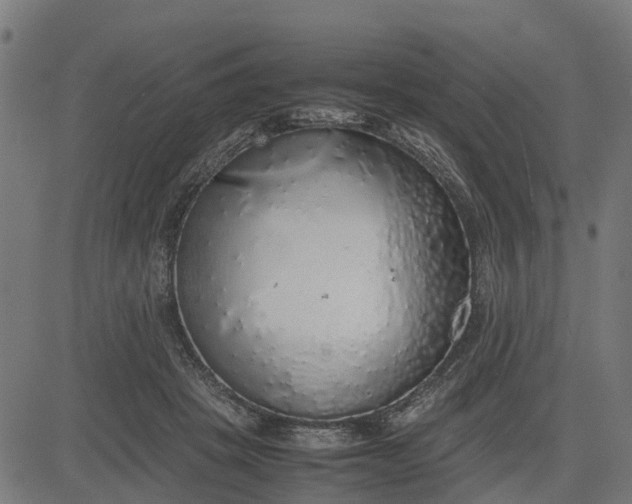 X0000082690457200702091701