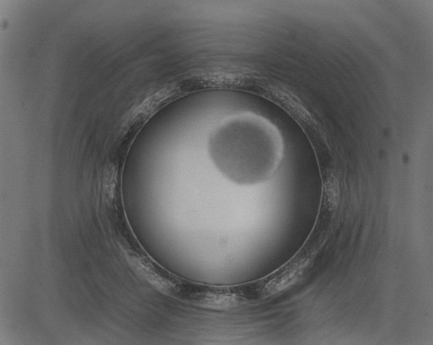 X0000082690458200702091701