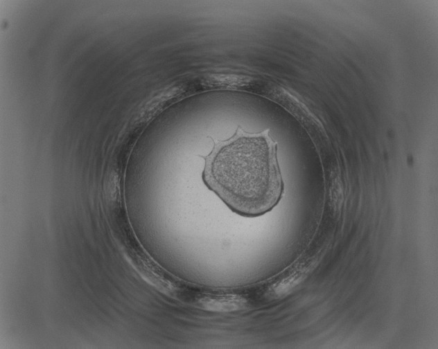 X0000082690459200702091701