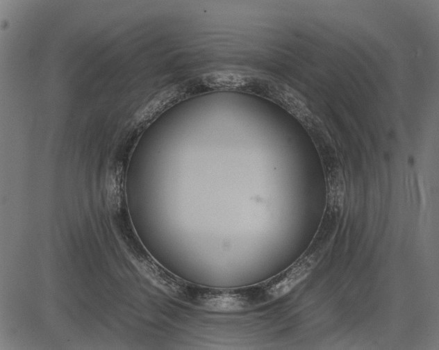 X0000082690460200702091701