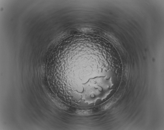 X0000082690461200702091702