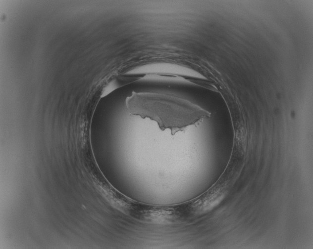 X0000082690462200702091702