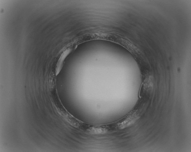 X0000082690464200702091702