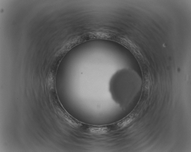 X0000082690465200702091702