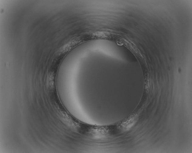 X0000082690466200702091702