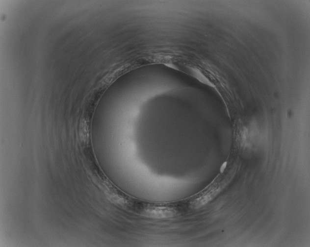 X0000082690467200702091702