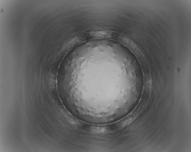 X0000082690469200702091702