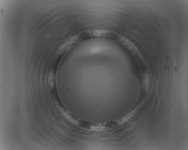 X0000082690470200702091702