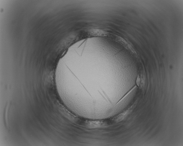 X0000082690473200702091702