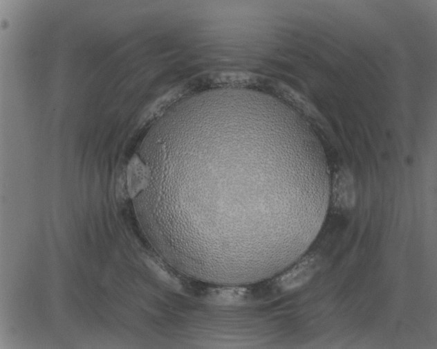 X0000082690474200702091702