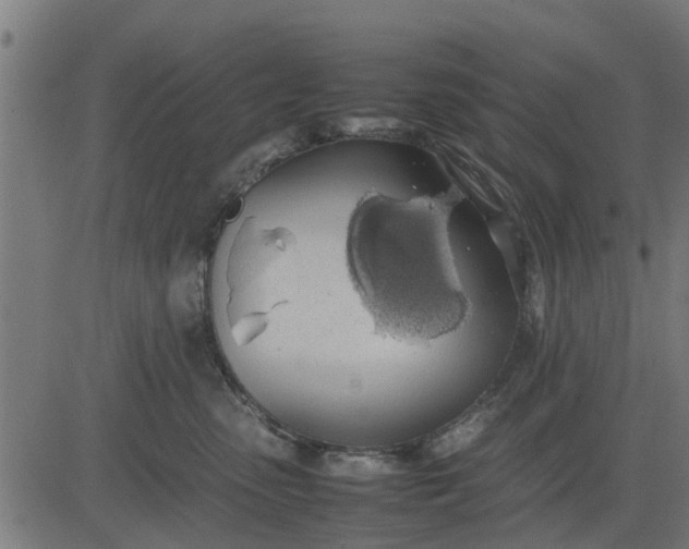 X0000082690475200702091702