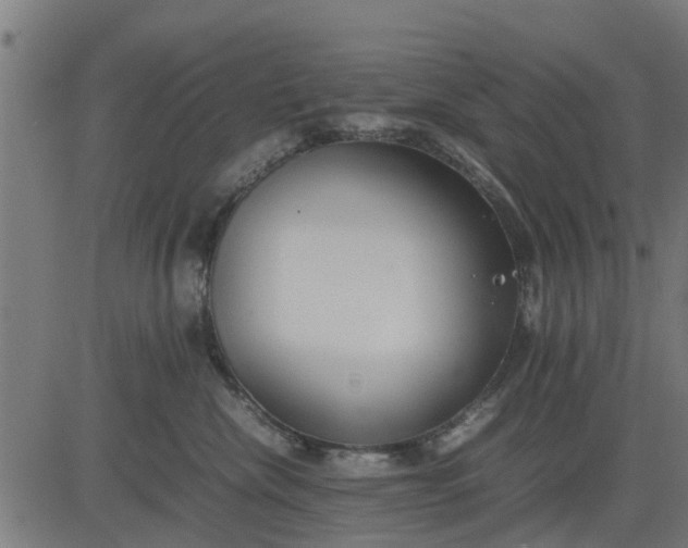 X0000082690476200702091702