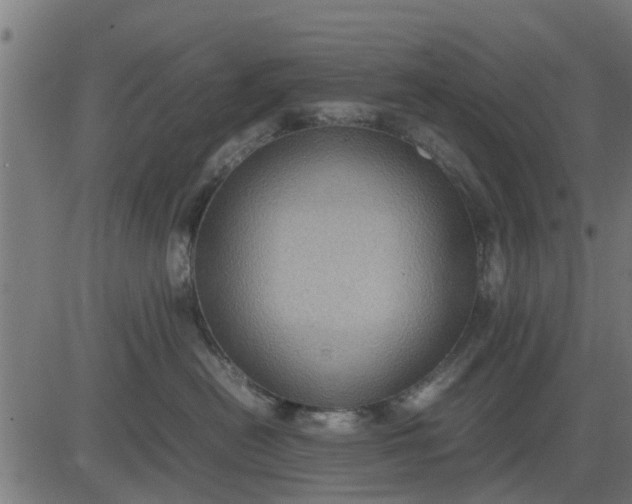 X0000082690478200702091702