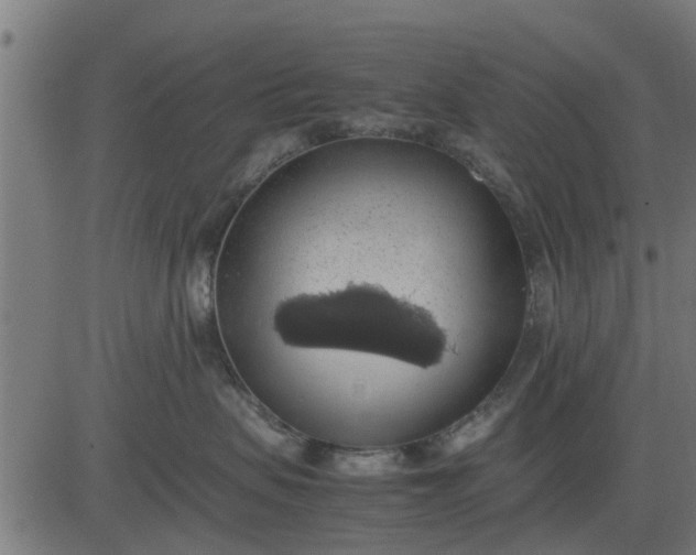 X0000082690479200702091702