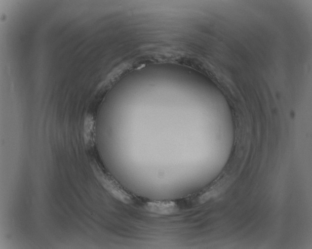 X0000082690480200702091702