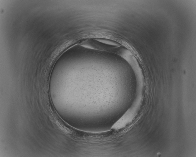 X0000082690481200702091701